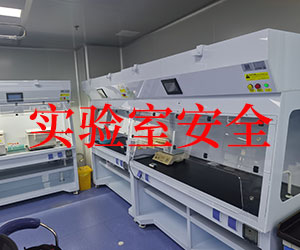 無管道凈氣型通風柜是否真的安全無憂？