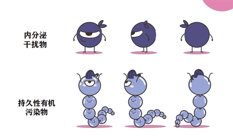 內(nèi)分泌干擾物和持久性有機污染物 內(nèi)分泌干擾物和持久性有機污染物