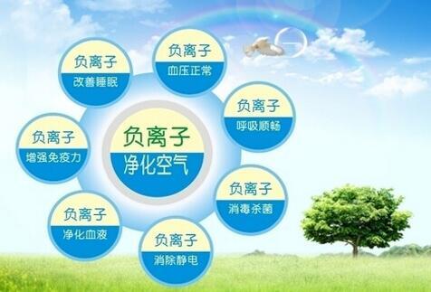 負(fù)離子